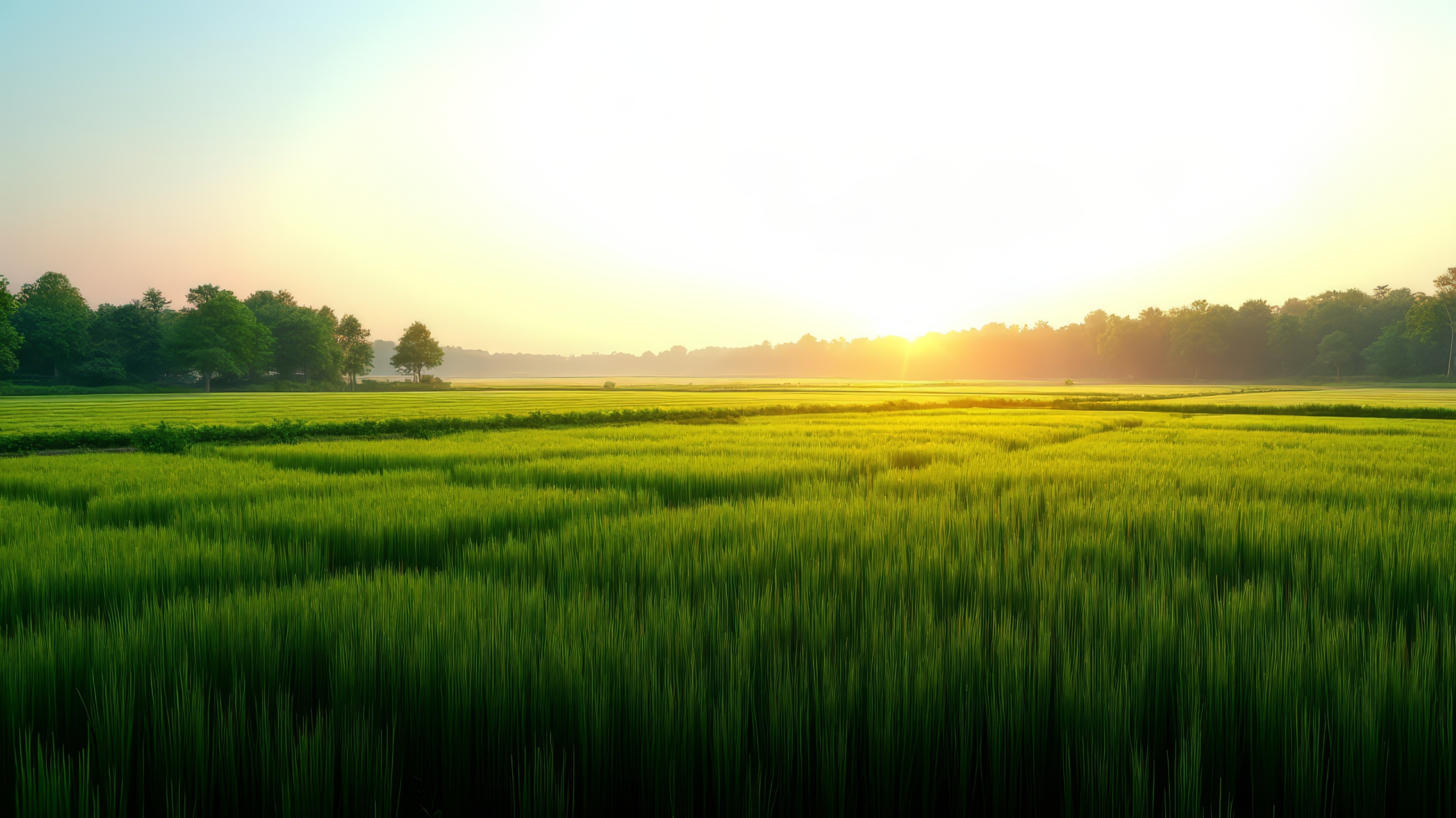 Fairhill Estate at North Creek